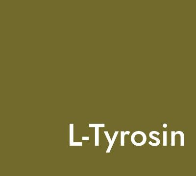 L-Tyrosin Beitrag Hashimoto-vitalis